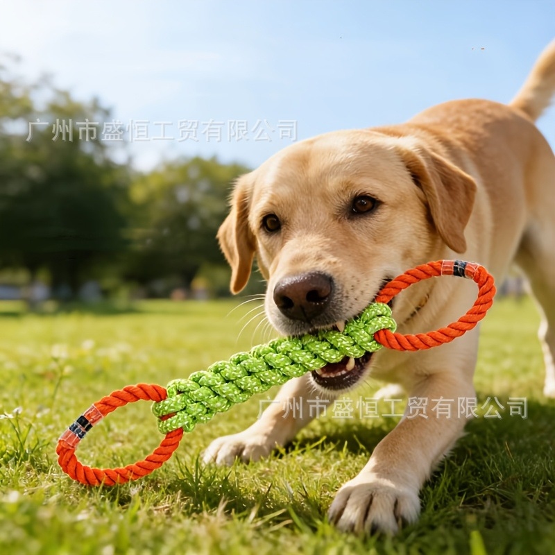 Pet Dental Chew Toy - Brinquedo para cães de corda de