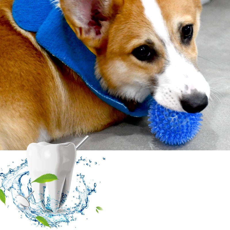 Bola de brinquedo para animais - Pet Dental Chew Toy avaliação e preço