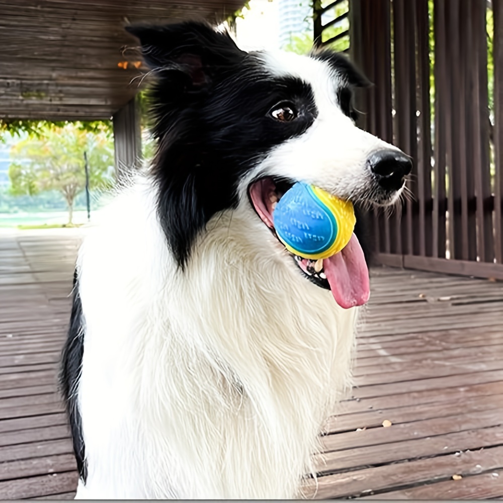 1pc brinquedo do cão durável t - Pet Dental Chew Toy avaliação e preço