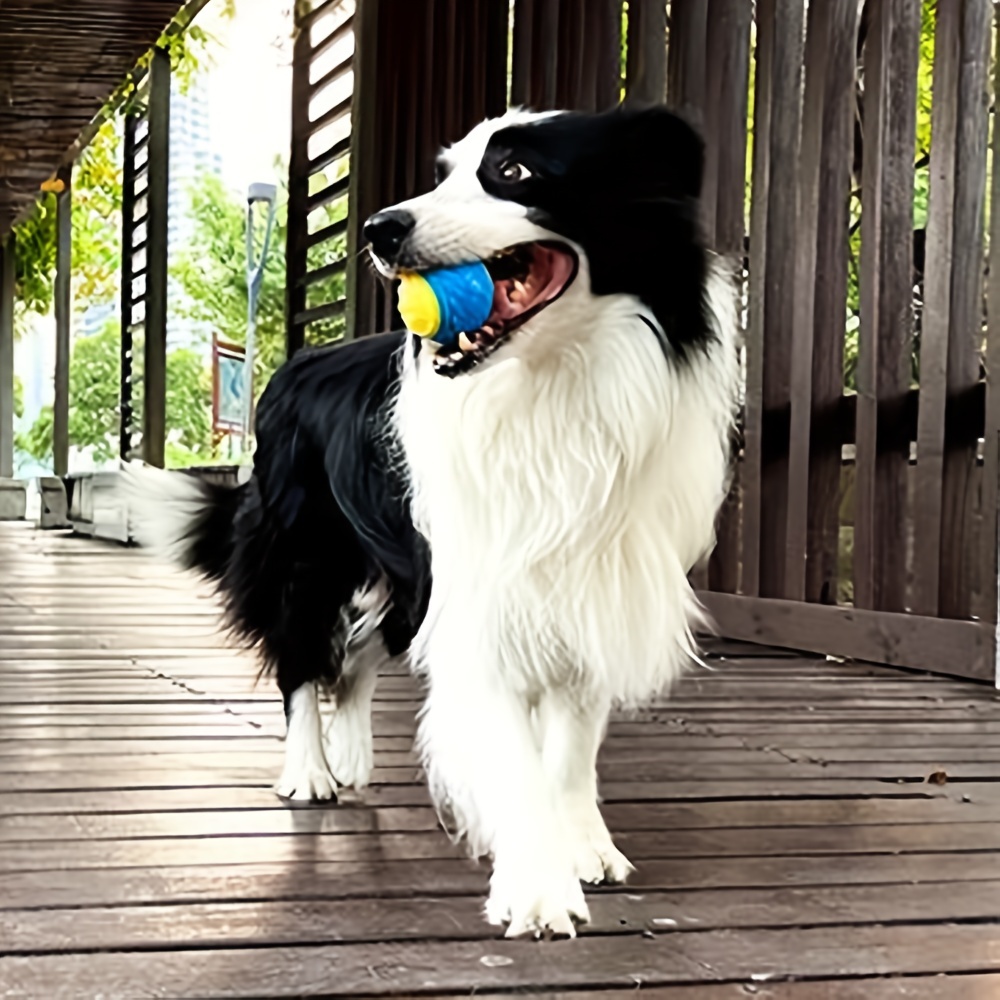 1pc brinquedo do cão durável t - Pet Dental Chew Toy avaliação e preço