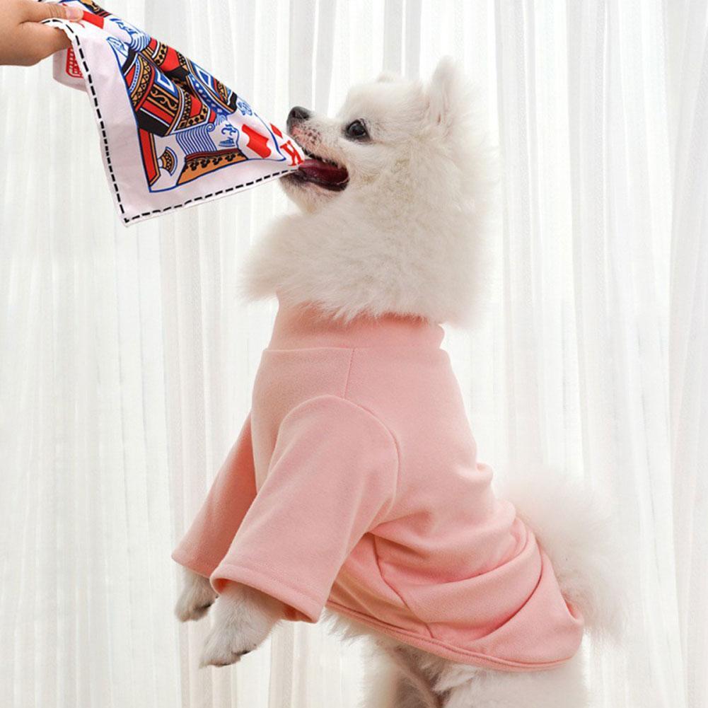 Brinquedo Interativo para Cães - Pet Dental Chew Toy avaliação e preço