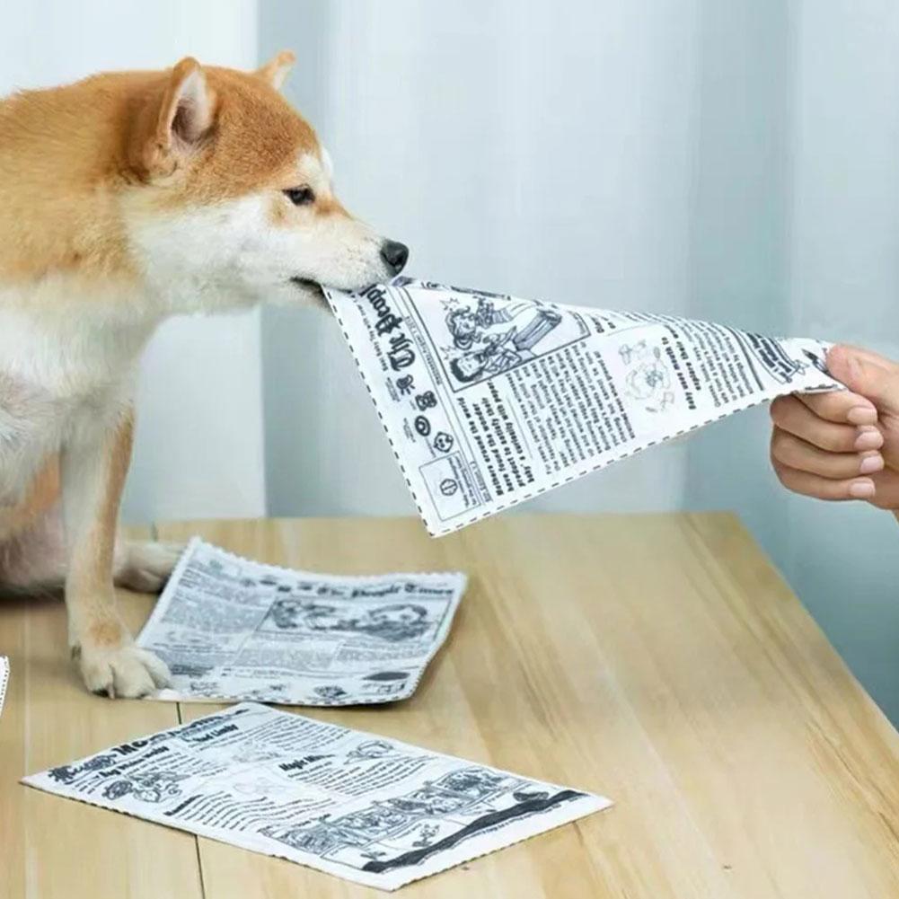 Brinquedo Interativo para Cães - Pet Dental Chew Toy avaliação e preço
