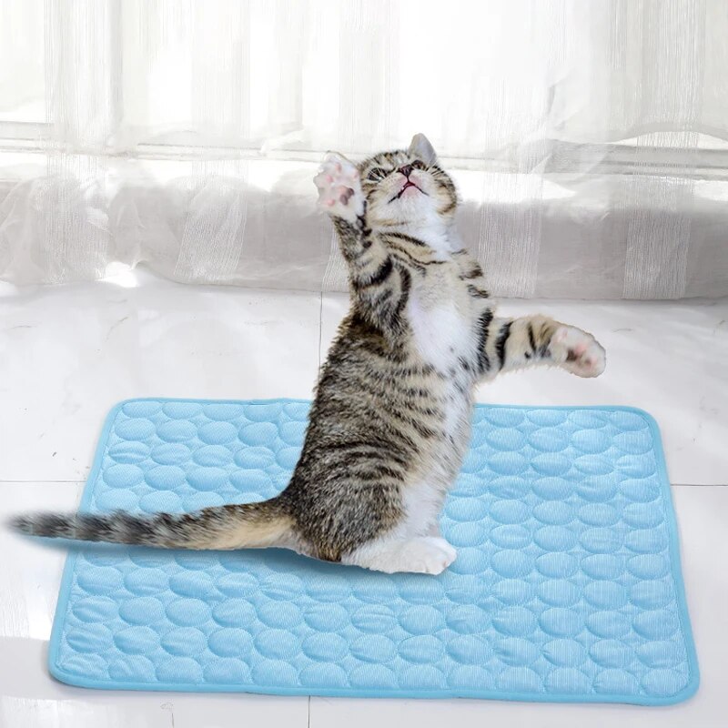 Pet esteiras de gelo verão gat - Dog Cooling Mat avaliação e preço