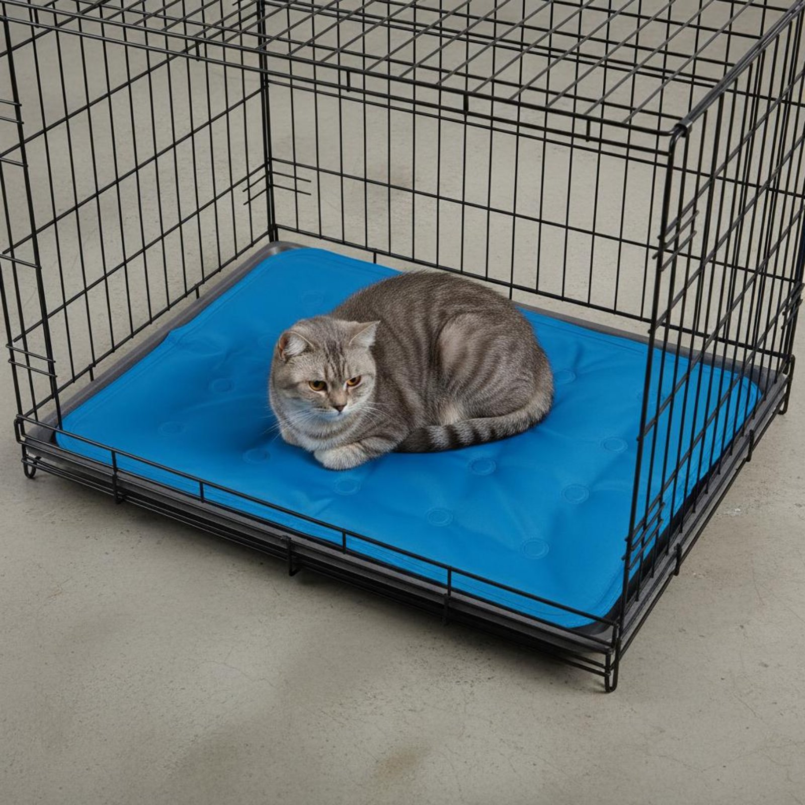 Tapete Gel Refrescante para An - Dog Cooling Mat avaliação e preço