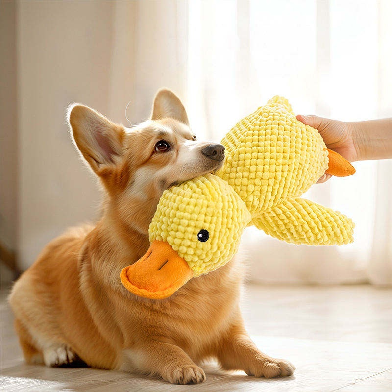 Brinquedo de Pelúcia para Cães - Pet Dental Chew Toy avaliação e preço
