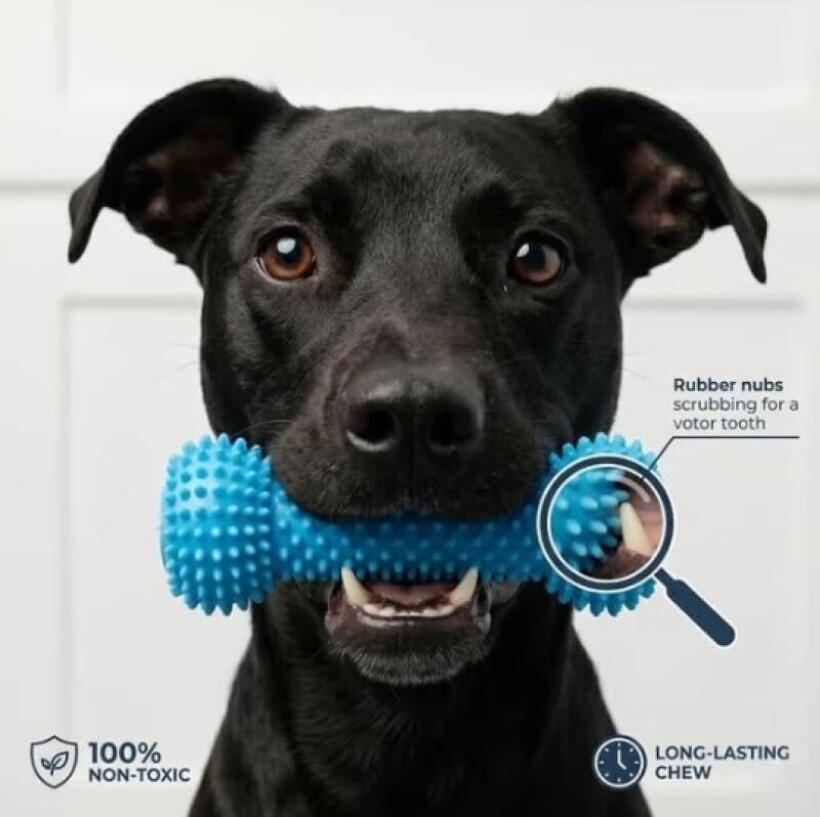 Bastão de Mastigação para Pets - Pet Dental Chew Toy avaliação e preço