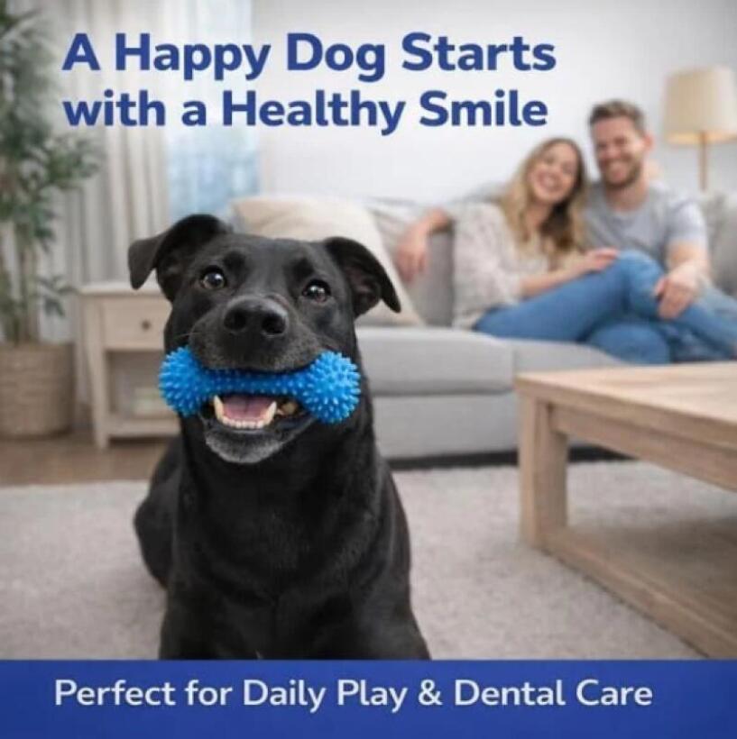 Bastão de Mastigação para Pets - Pet Dental Chew Toy avaliação e preço