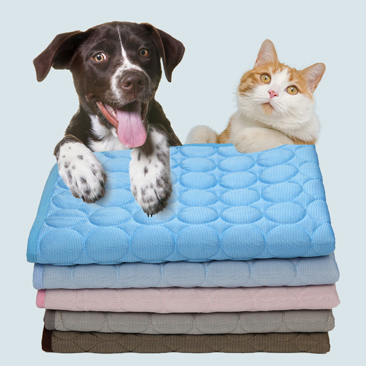 Tapetes de Gelo para Animais d - Dog Cooling Mat avaliação e preço