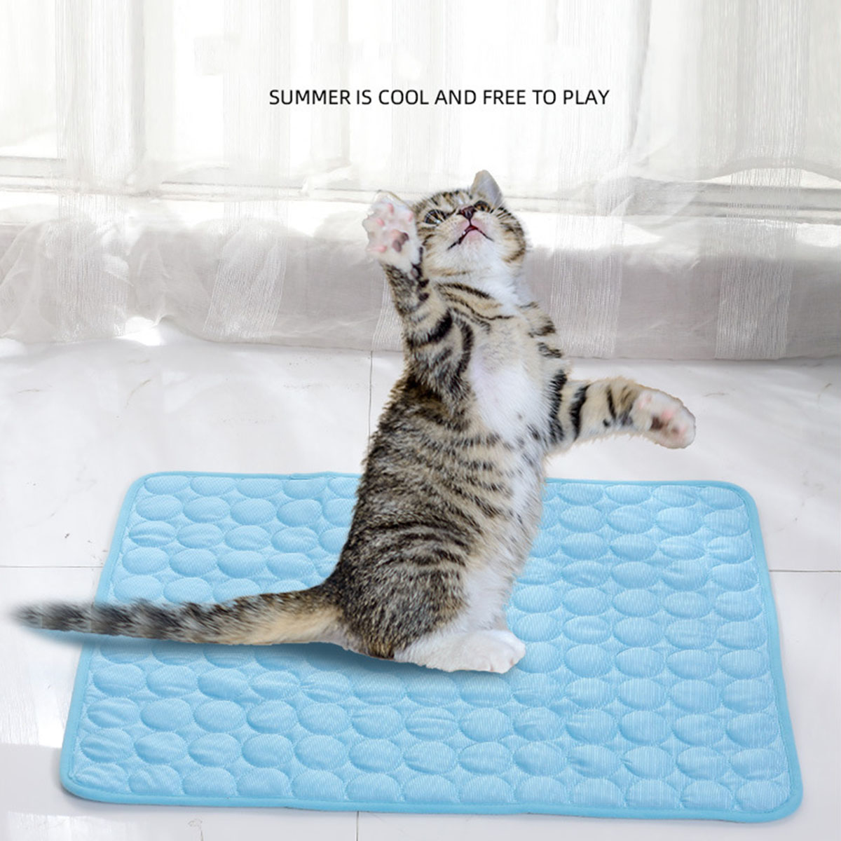 Tapetes de Gelo para Animais d - Dog Cooling Mat avaliação e preço