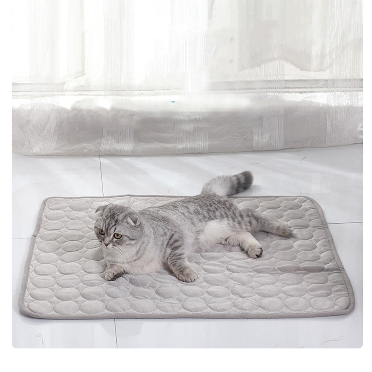 Tapetes de Gelo para Animais d - Dog Cooling Mat avaliação e preço