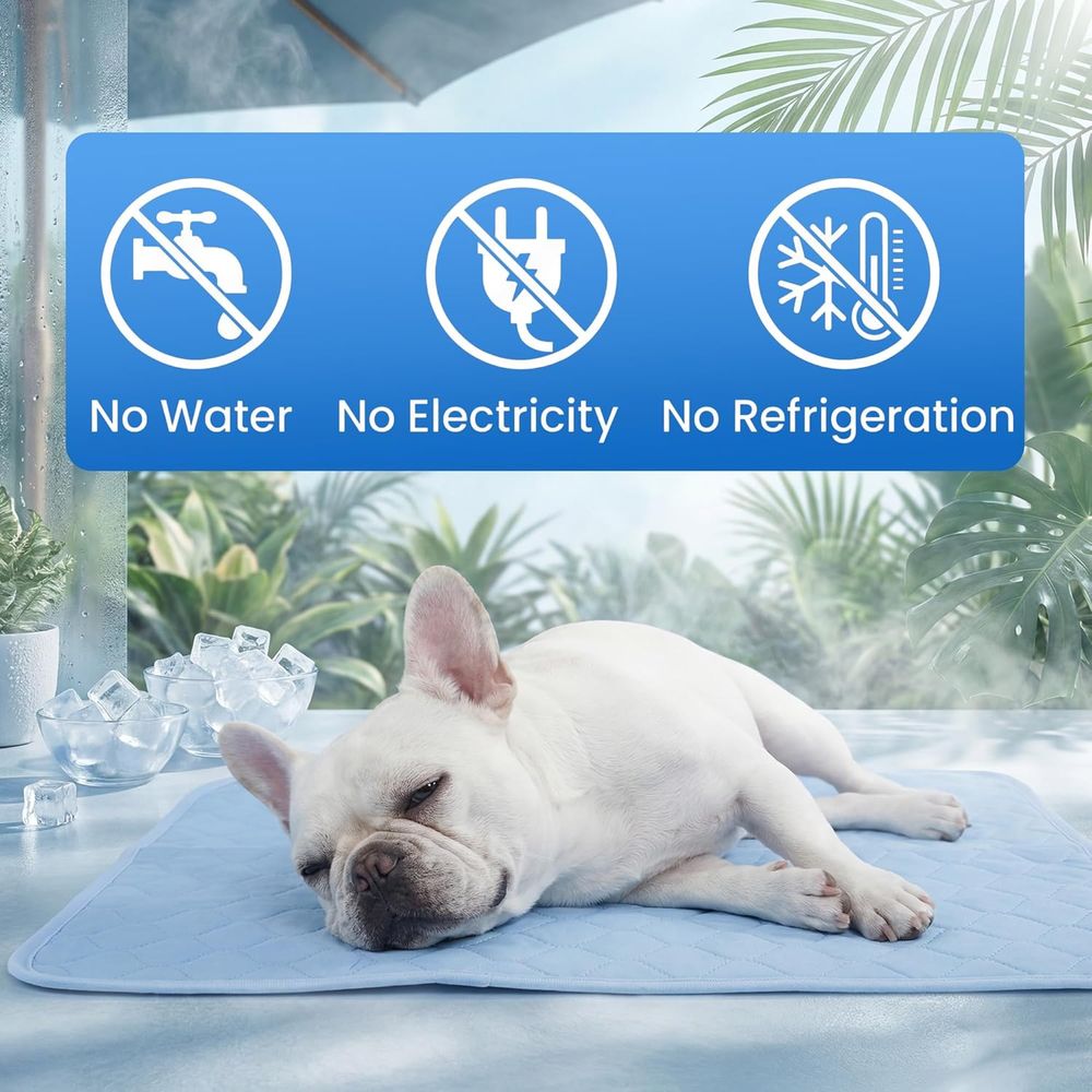 Tapete Refrescante para Cães P - Dog Cooling Mat avaliação e preço