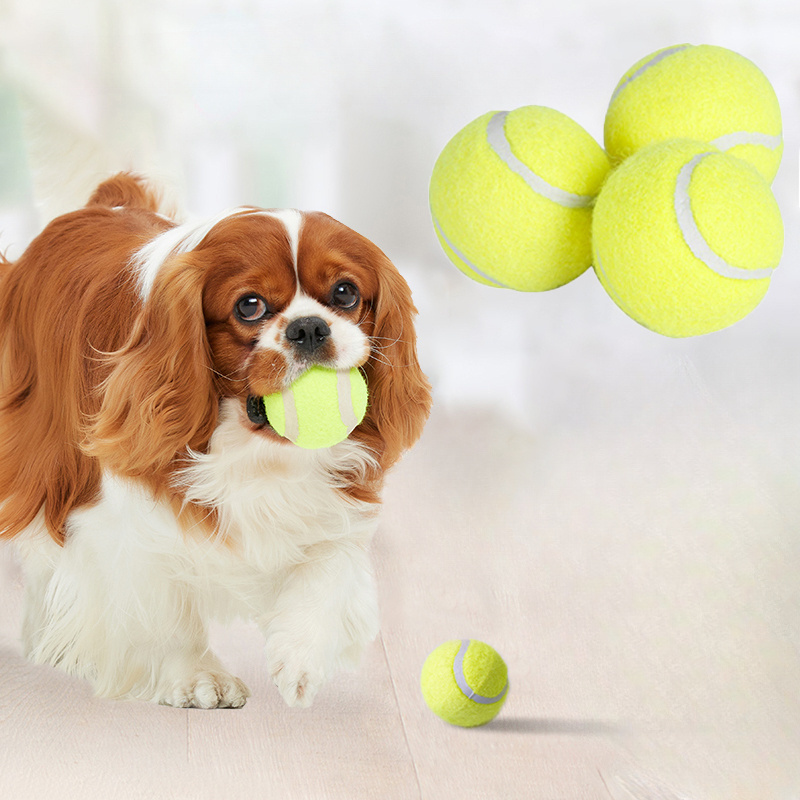 Brinquedo Interativo de Borrac - Pet Dental Chew Toy avaliação e preço