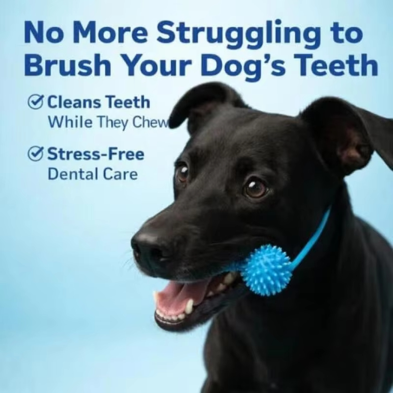 Brinquedo de Mastigar para Cãe - Pet Dental Chew Toy avaliação e preço